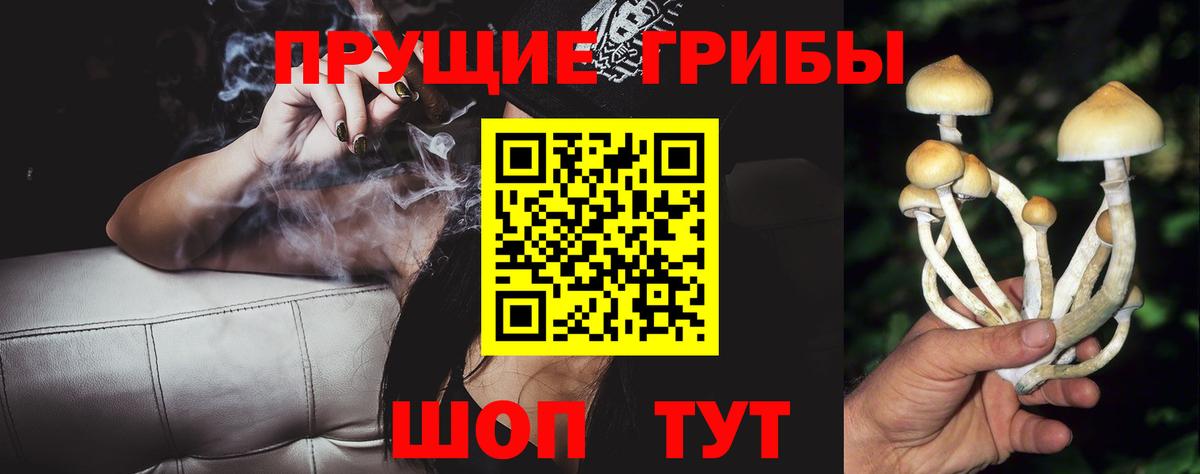 Галлюциногенные грибы Psilocybe  Вход с VPN  Псилоцибиновые грибы мицелий  Солнечногорск 